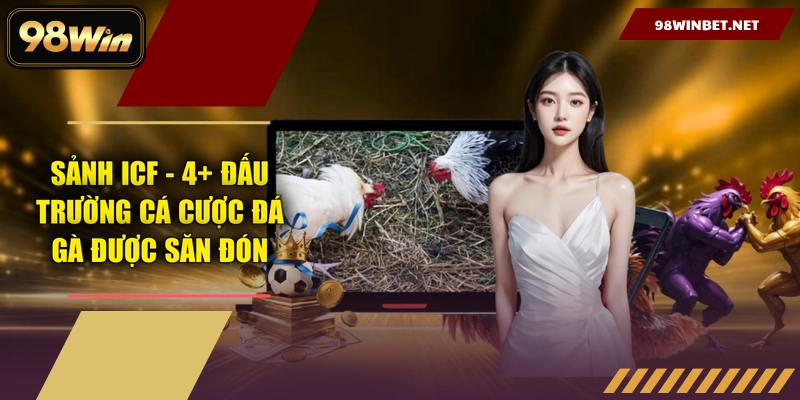 Sảnh ICF - 4+ Đấu Trường Cá Cược Đá Gà Được Săn Đón